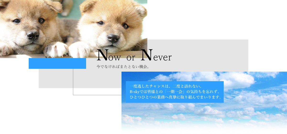 Now or Never łȂ΂܂ƂȂ@B x`X́AxƖKȂB B-skył͊FlƂ́uv̋CYꂸAЂƂЂƂ̋Ɩ֐^Ɏgł܂܂B 