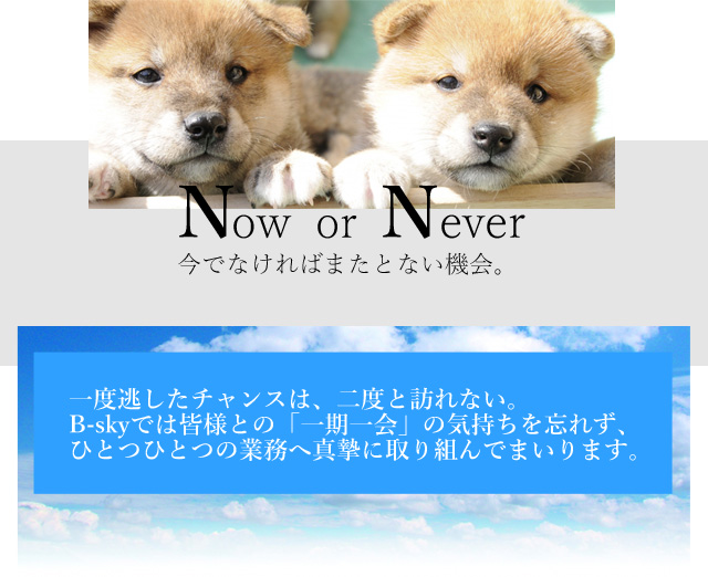 Now or Never łȂ΂܂ƂȂ@B x`X́AxƖKȂB B-skył͊FlƂ́uv̋CYꂸAЂƂЂƂ̋Ɩ֐^Ɏgł܂܂B